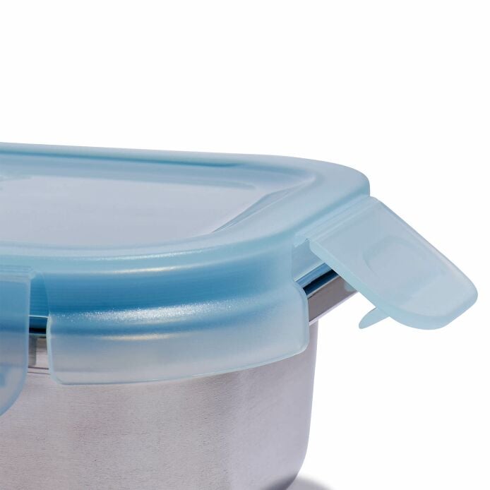 2 c Stainless Steel Food Container Rain