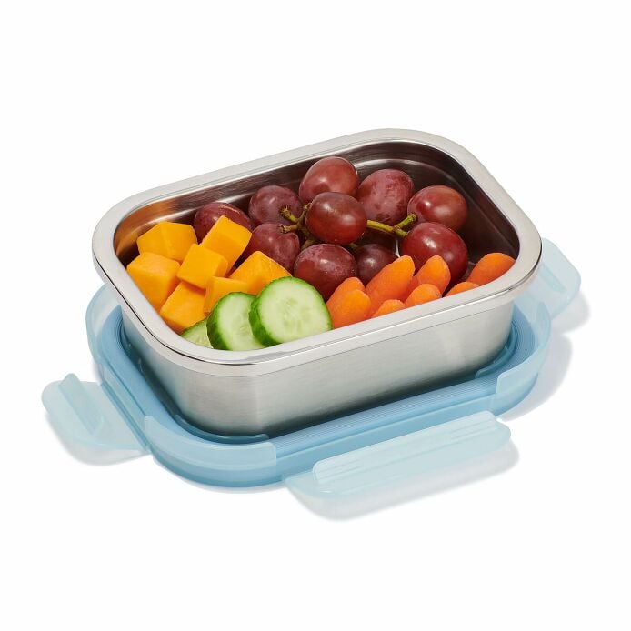 2 c Stainless Steel Food Container Rain
