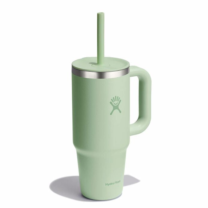 24 oz Travel Tumbler Aloe