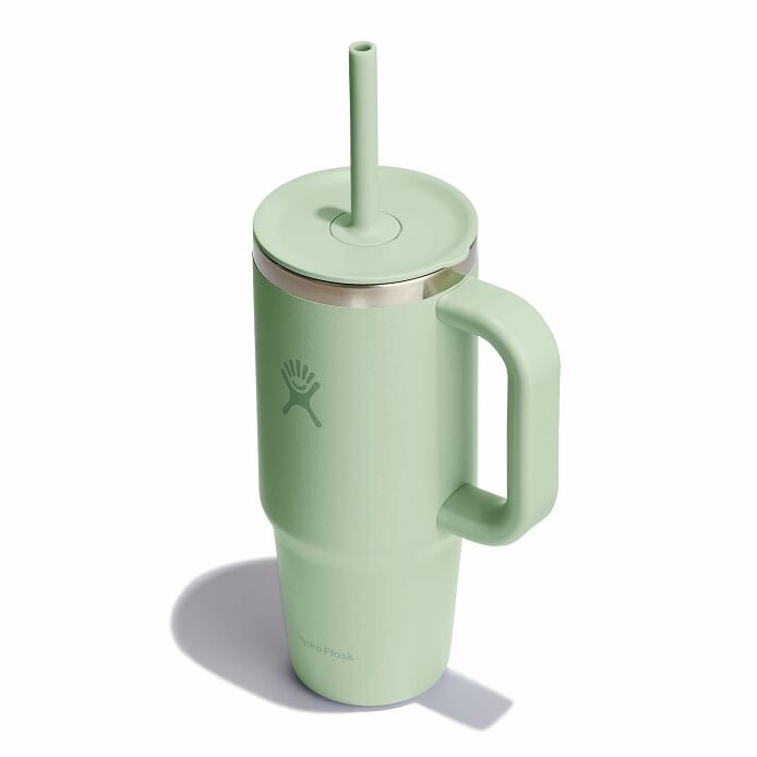 24 oz Travel Tumbler Aloe