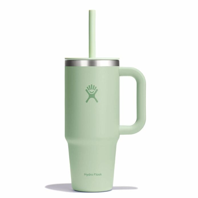 24 oz Travel Tumbler Aloe