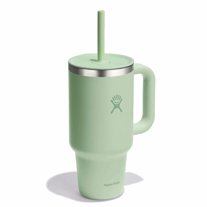 32 oz Travel Tumbler Aloe